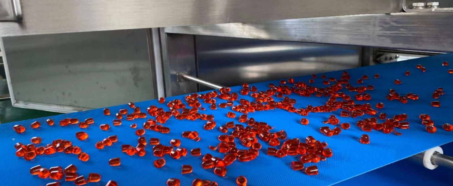 confectionary process systems