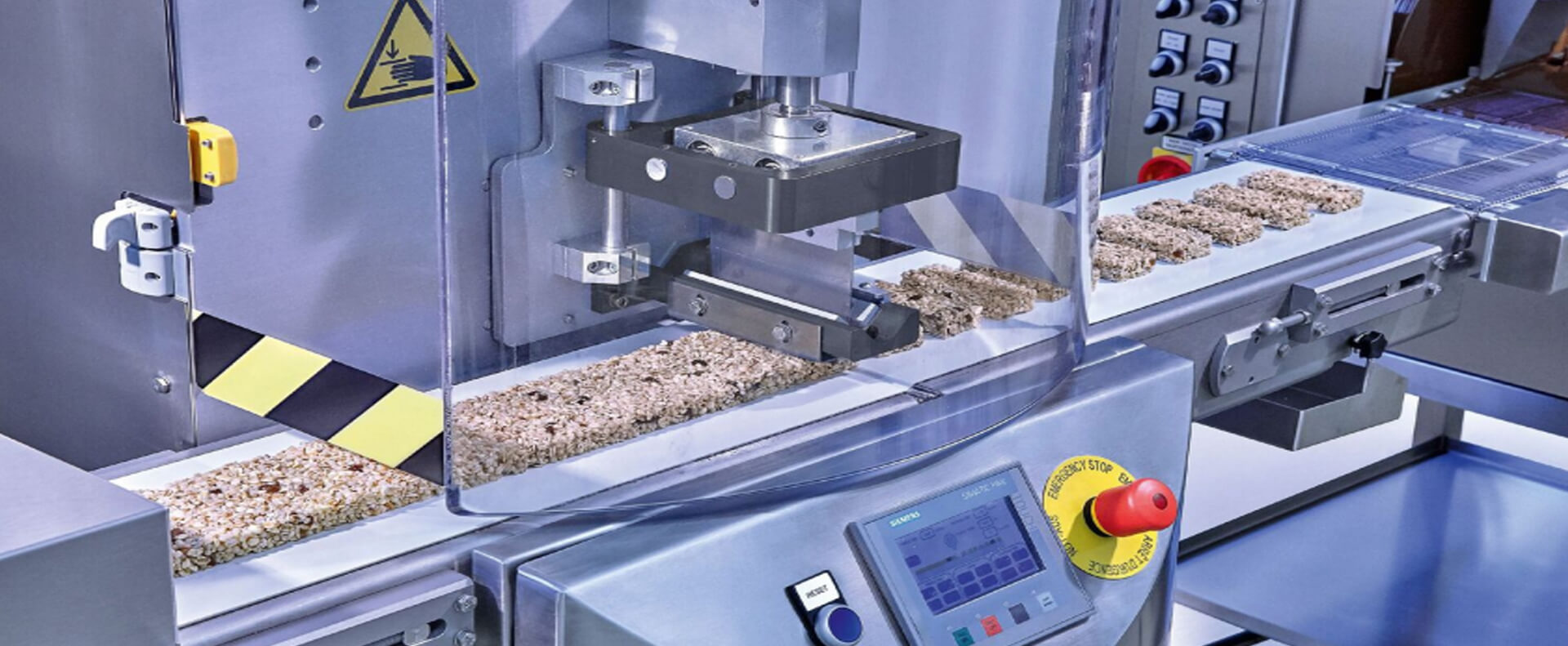 granola bar process systems