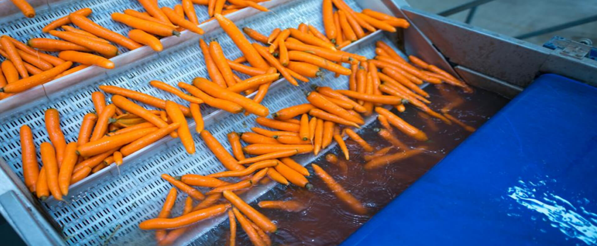 Post-Harvest process systems